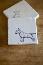 Bull Terrier Dog Coaster