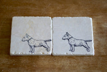 Bull Terrier Dog Coaster