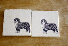 Bernese Mountain Dog Marble Coasters