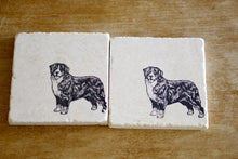 Personalized Bernese Mountain Dog Coasters, Housewarming Gift