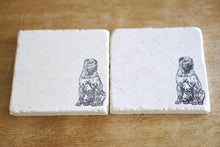 Shar Pei Marble Coasters: Dog Lover Gift