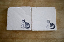 Ragdoll Cat Marble Coasters