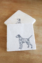 Dalmatian Dog Marble Coasters
