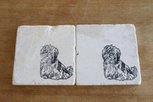 Shih Tzu Dog Marble Coasters