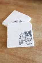 Papillon Dog Coasters