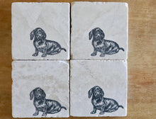 Custom Dachshund Marble Coaster Set Gift