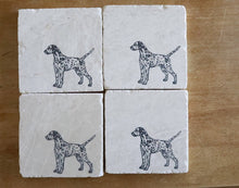 Dalmatian Dog Marble Coasters