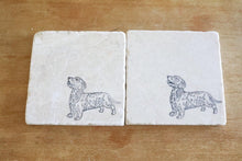 Dachshund Long Hair Marble Coaster