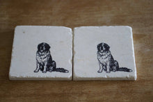 St. Bernard Dog Coaster