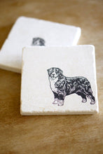 Bernese Mountain Dog Marble Coasters