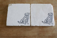 Nova Scotia Duck Tolling Retriever Marble Coasters