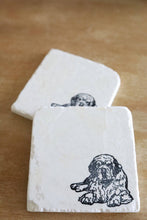 Clumber Spaniel Dog Marble Coasters