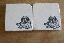 Clumber Spaniel Dog Marble Coasters