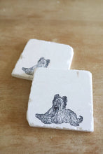 Briard Dog Marble Coaster Gift