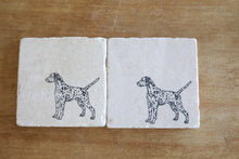 Dalmatian Dog Marble Coasters