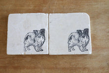 Papillon Dog Coasters