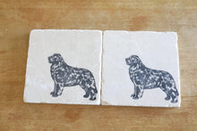 Newfoundland Dog marble Coasters