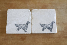 English Setter Dog Marble Coasters