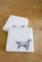 English Setter Dog Marble Coasters