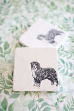 Bernese Mountain Dog Marble Coasters