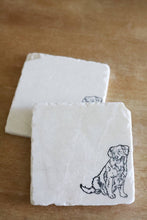 Nova Scotia Duck Tolling Retriever Marble Coasters