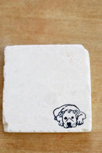 Pitbull Dog Marble Coasters
