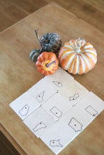 Iowa Marble Coaster Set