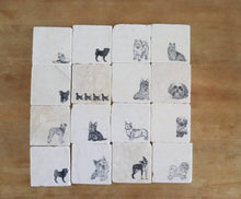 Welsh Corgi Marble Coasters