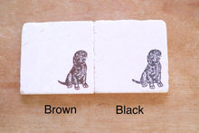 Brown Lab Marble Coasters