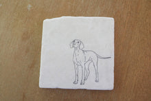 Coonhound Marble Coaster Set