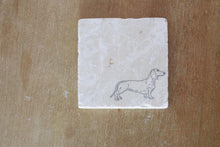 Weiner Dog Marble Coaster