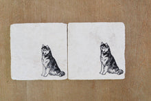 Husky Dog Marble Coasters