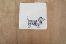 Basset Hound Coaster set
