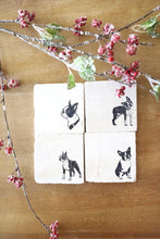 Boston Terrier Coasters