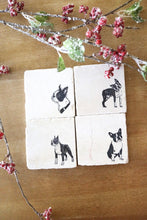 Boston Terrier Coasters