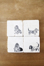 Basset Hound Coaster set of 4