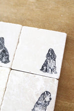 English Springer Spaniel Coaster Set