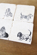 Basset Hound Coaster set of 4