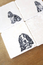 English Springer Spaniel Coaster Set