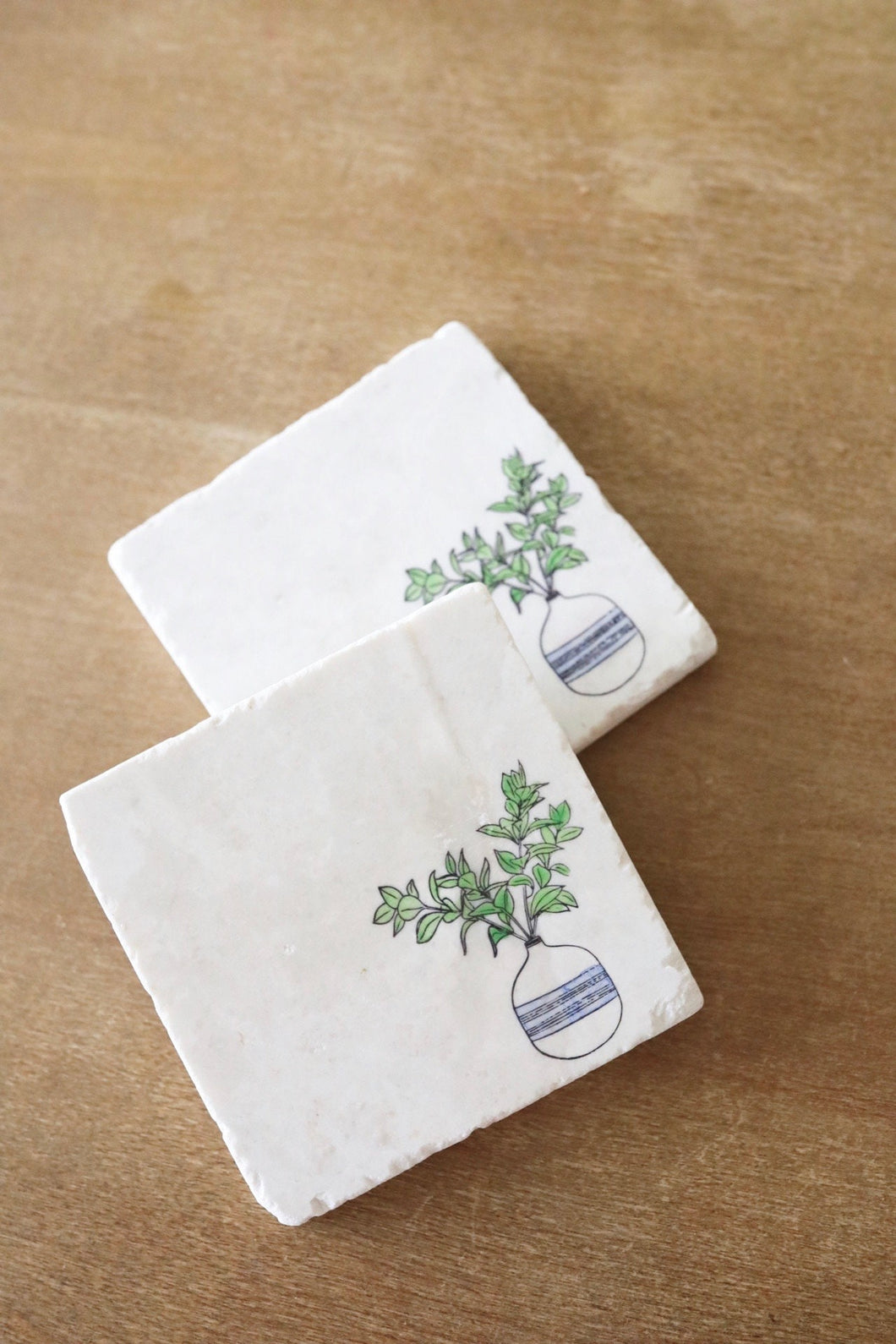 House Plant Marble Coaster Set