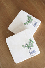 House Plant Marble Coaster Set