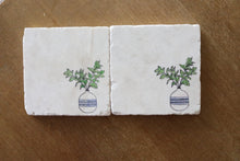 House Plant Marble Coaster Set