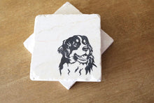 Bernese Mountain Dog Coasters