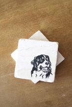 Bernese Mountain Dog Coasters