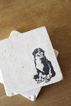 Bernese Mountain Dog Coasters