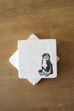 Bernese Mountain Dog Coasters