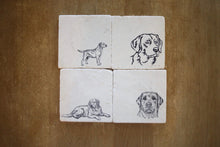 Lab Coaster Set of 4
