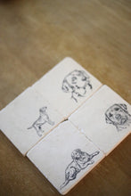 Lab Coaster Set of 4