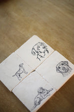 Lab Coaster Set of 4
