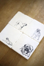 English Mastiff Coaster Set of 4